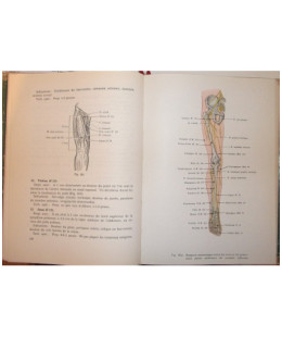 Précis d'Acupuncture Chinoise