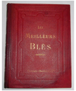 Les Meilleurs Blés