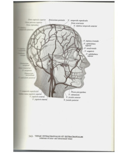 Atlas d'Anatomie Humaine - 2 tomes