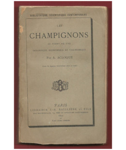 Les Champignons