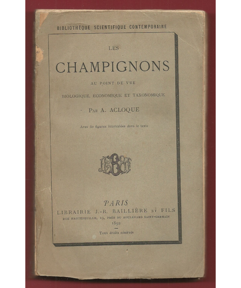 Les Champignons