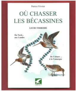 Où chasser les bécassines