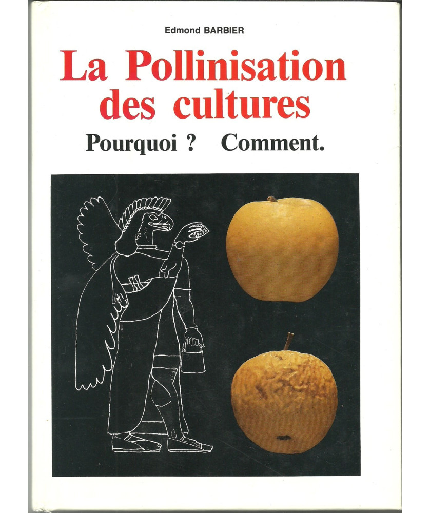 La Pollinisation des cultures - Pourquoi ? Comment