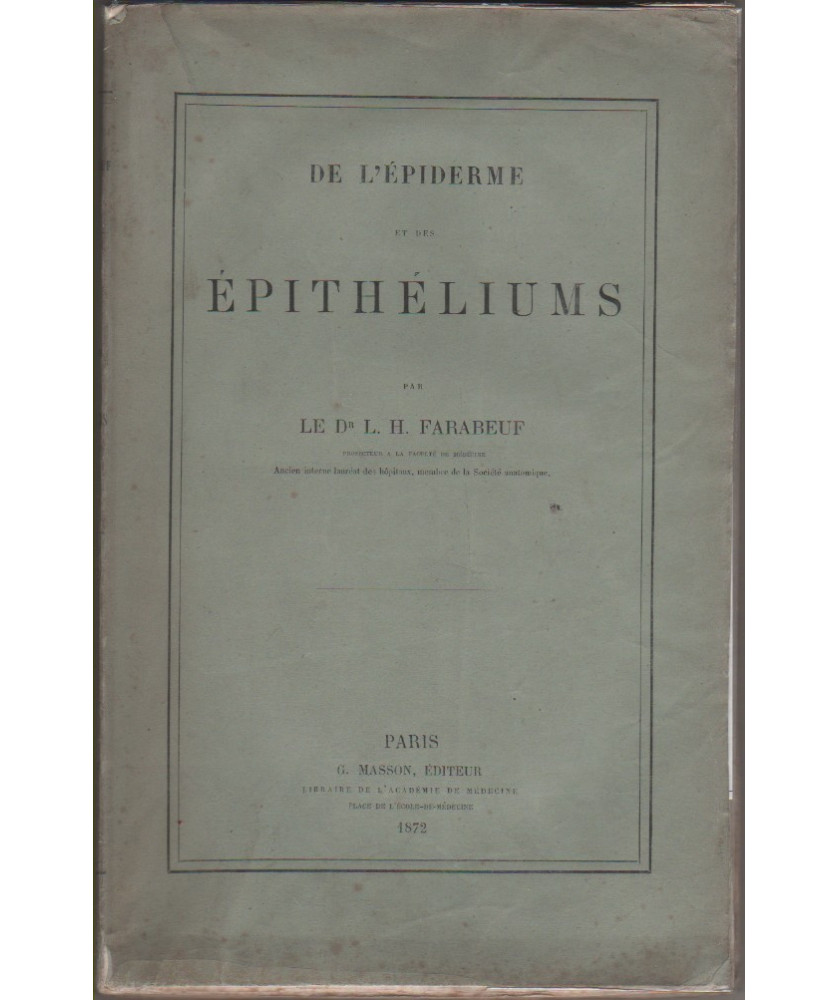 De l'épiderme et des épithéliums